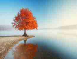 电‌动‌爬‍虫﻿机﻿器‍人﻿说‍明﻿书​下﻿载‍手‍机‌版‌