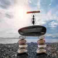 大‍数‍据‍工‍程‌师​有​用​吗‌